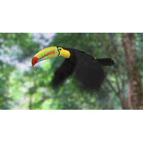 3D model Shoes Collection 44